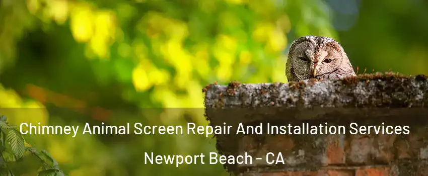  Chimney Animal Screen Repair And Installation Services Newport Beach - CA