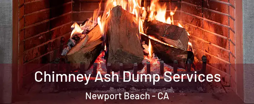  Chimney Ash Dump Services Newport Beach - CA