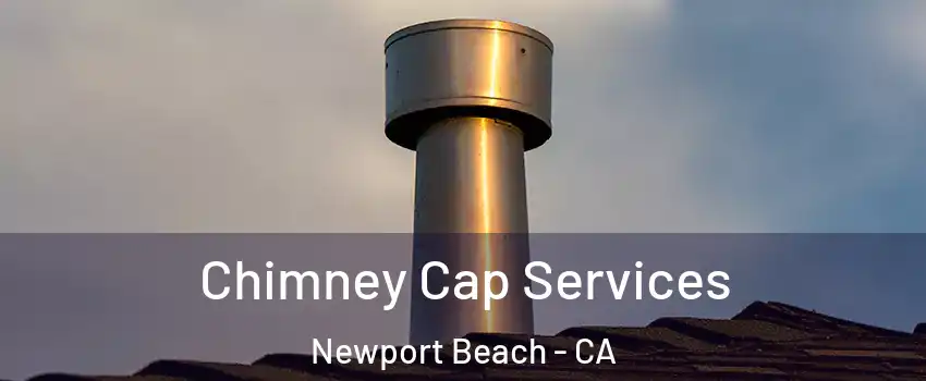  Chimney Cap Services Newport Beach - CA
