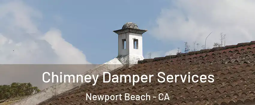  Chimney Damper Services Newport Beach - CA