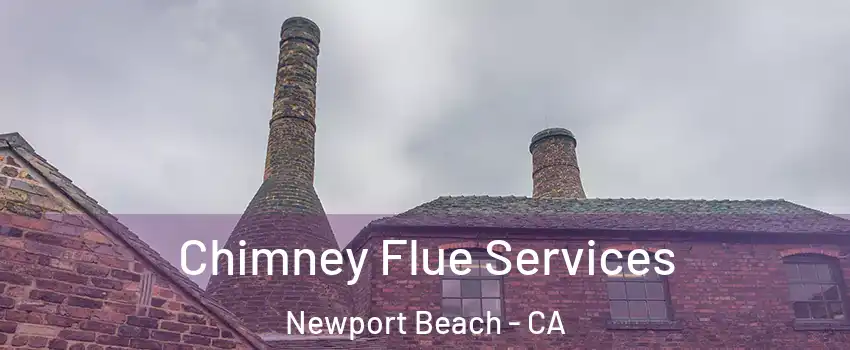  Chimney Flue Services Newport Beach - CA