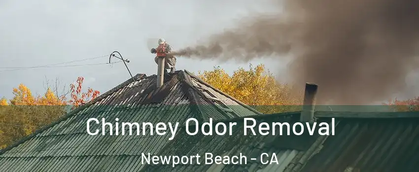  Chimney Odor Removal Newport Beach - CA