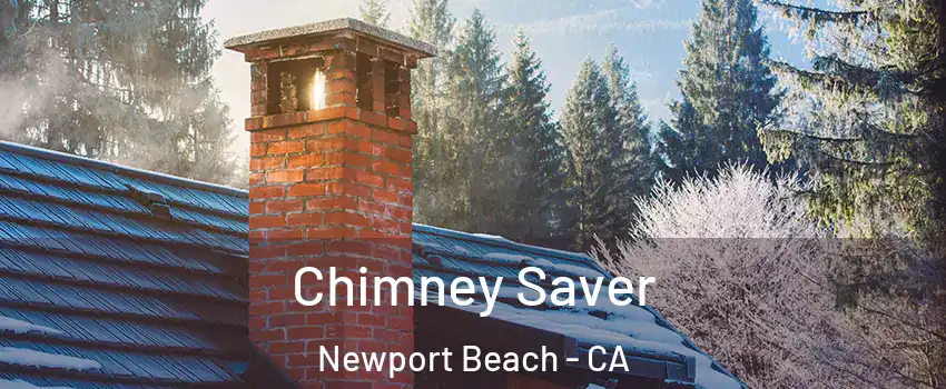  Chimney Saver Newport Beach - CA