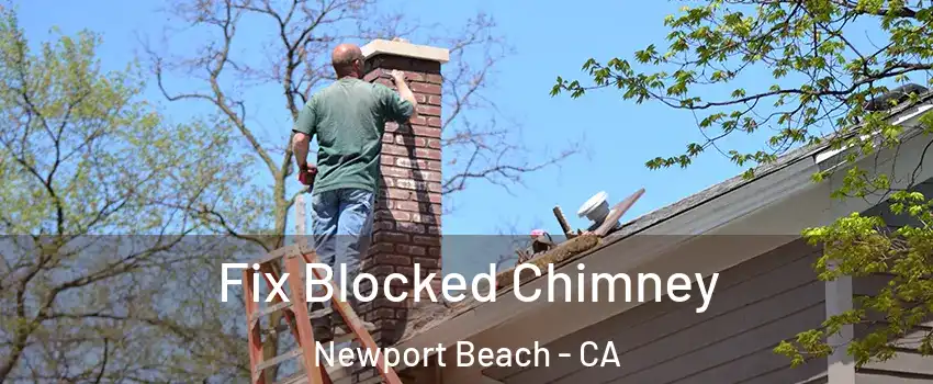  Fix Blocked Chimney Newport Beach - CA