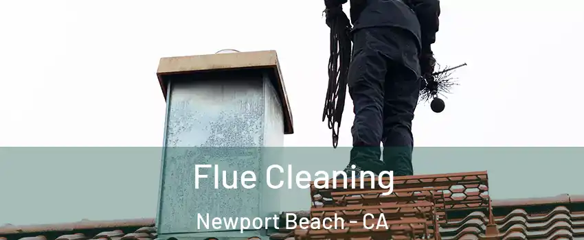  Flue Cleaning Newport Beach - CA