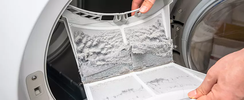Best Dryer Lint Removal Company in Newport Beach, California