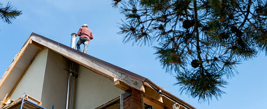 Birds Removal Contractors from Chimney in Newport Beach, CA